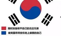 韩国体育圈 爆料热线,揭秘幕后真相与热点事件